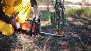 Soil Testing and Treatment in Shafter, CA